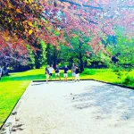 Miniature 10